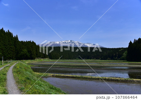 丸池様付近から眺めた鳥海山(出羽富士)と水田 山形県酒田市 丸池様付近から眺めた鳥海山(出羽富士)と水田 山形県酒田市 107866464