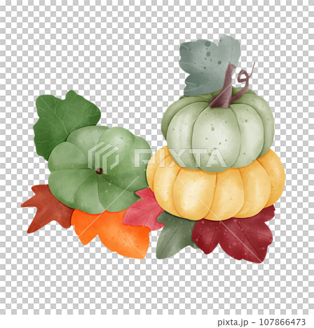 watercolor illustration of pumpkin and leaves 107866473