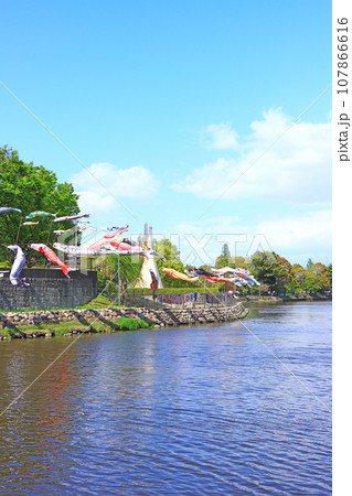 愛知県蟹江町、佐屋川創郷公園とこいのぼりの風景 107866616