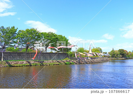 愛知県蟹江町、佐屋川創郷公園とこいのぼりの風景 107866617