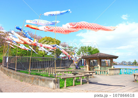 愛知県蟹江町、佐屋川創郷公園とこいのぼりの風景 107866618