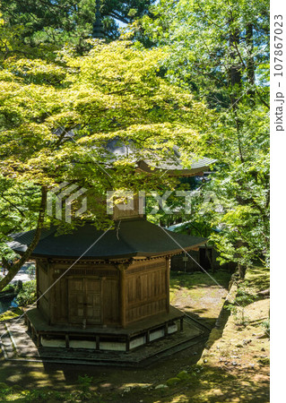 福井 夏のもみじに囲まれた永平寺の二重の塔 福井 夏のもみじに囲まれた永平寺の二重の塔 107867023