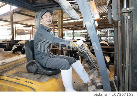 牛舎でフォークリフトに乗る男性作業員 107867155