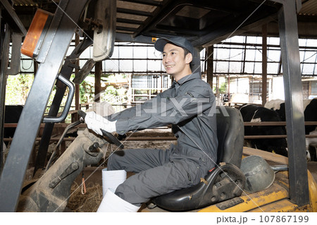 牛舎でフォークリフトに乗る男性作業員 牛舎でフォークリフトに乗る男性作業員 107867199