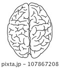 上から見た脳の線画 107867208