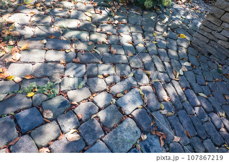 木陰が涼しげな石畳の道 木陰が涼しげな石畳の道 107867219