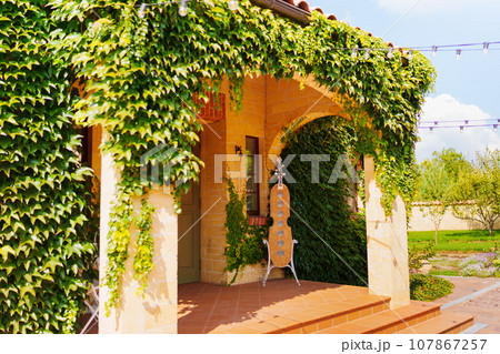 Decorative cabinet for wine bottles in the shape of a double bass on the terrace Decorative cabinet for wine bottles in the shape of a double bass on the terrace 107867257