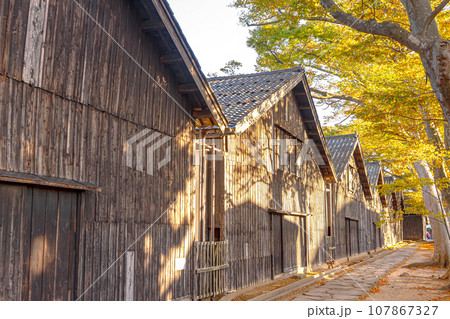 風情ある米穀倉庫 路地裏のケヤキ並木『紅葉の山居倉庫』(日本遺産) 酒田市 風情ある米穀倉庫 路地裏のケヤキ並木『紅葉の山居倉庫』(日本遺産) 酒田市 107867327