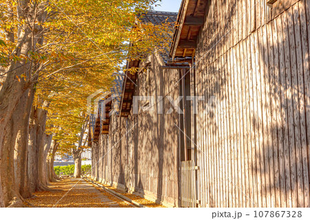 風情ある米穀倉庫 路地裏のケヤキ並木『紅葉の山居倉庫』(日本遺産) 酒田市 風情ある米穀倉庫 路地裏のケヤキ並木『紅葉の山居倉庫』(日本遺産) 酒田市 107867328