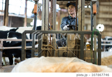 牛に飼料を与える酪農家 牛に飼料を与える酪農家 107867746