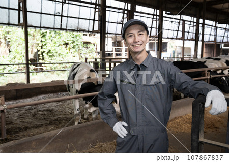 牛舎と作業員の男性 牛舎と作業員の男性 107867837