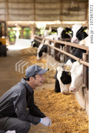 牛に飼料を与える酪農家 107867872
