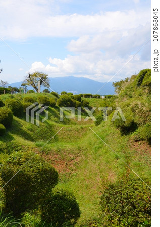 山中城跡 西櫓堀 山中城跡 西櫓堀 107868045