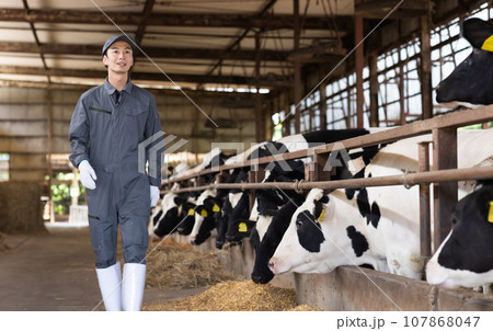 牛を飼育する酪農家 牛を飼育する酪農家 107868047
