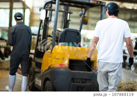 牛に飼料を与える酪農家 107868119