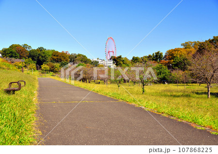 狭山公園(東京都東村山市)【2023.10】 107868225