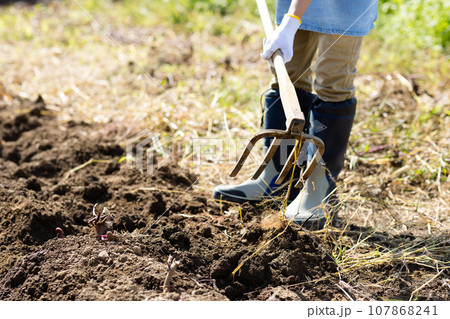 畑仕事をする若い男性 107868241