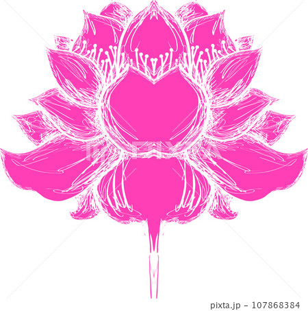 Lotus flower illustration 107868384