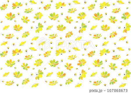 Illustration of cosmos flower on white background. Illustration of cosmos flower on white background. 107868673