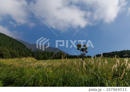 久住高原展望台下から見る久住山、大船山(大分県竹田市) 久住高原展望台下から見る久住山、大船山(大分県竹田市) 107869511