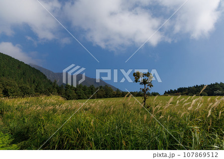 久住高原展望台下から見る久住山、大船山（大分県竹田市） 107869512