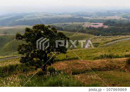 秋の朝の久住高原（大分県竹田市） 107869869