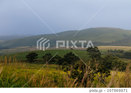 秋の朝の久住高原（大分県竹田市） 107869871