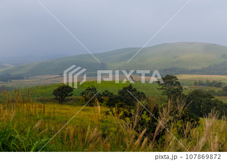 秋の朝の久住高原（大分県竹田市） 107869872