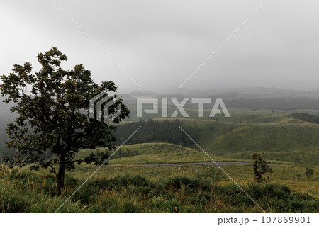 秋の朝の久住高原(大分県竹田市) 秋の朝の久住高原(大分県竹田市) 107869901