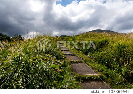 秋のタデ原湿原（大分県玖珠郡九重町） 107869945