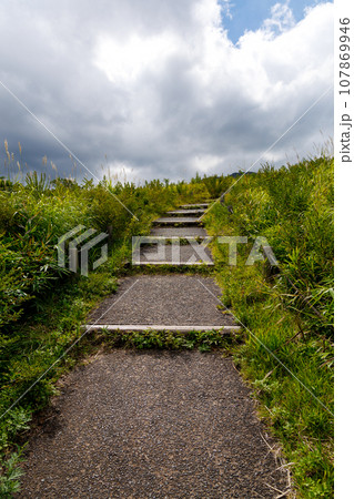 秋のタデ原湿原（大分県玖珠郡九重町） 107869946
