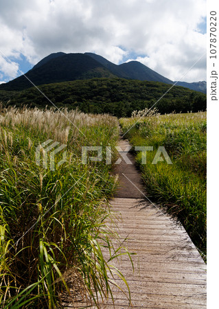 秋のタデ原湿原（大分県玖珠郡九重町） 107870220