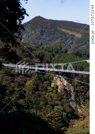 九重夢大吊橋（大分県玖珠郡九重町） 107872244