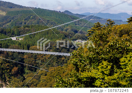 九重夢大吊橋（大分県玖珠郡九重町） 107872245