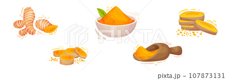 Fresh Turmeric Plant with Orange Root as Culinary Spice Vector Set 107873131