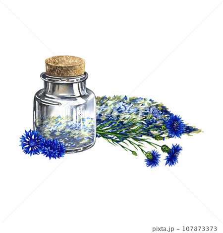 Dried, crushed medicinal herb cornflower. A bottle with dried cornflowers. Watercolor illustration, hand-drawn. Healthy tea and medicinal herbs. For packaging layout, label, menu and banner. 107873373