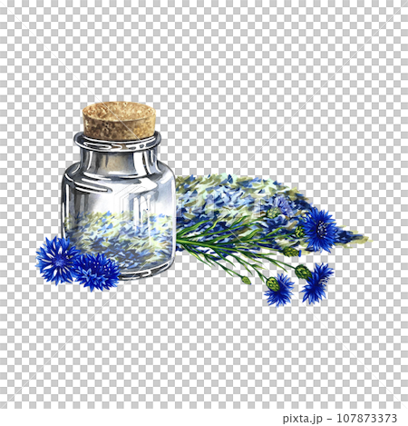 Dried, crushed medicinal herb cornflower. A bottle with dried cornflowers. Watercolor illustration, hand-drawn. Healthy tea and medicinal herbs. For packaging layout, label, menu and banner. 107873373