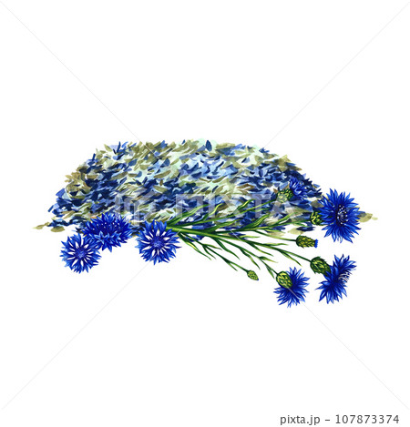 Dried, crushed, medicinal herb cornflower. Isolate on white background. Watercolor hand drawn illustration. Healthy tea and medicinal herbs. For packaging layout, label, menu and banner. 107873374