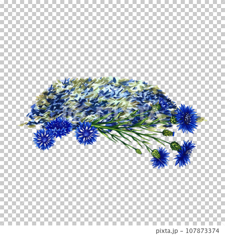 Dried, crushed, medicinal herb cornflower. Isolate on white background. Watercolor hand drawn illustration. Healthy tea and medicinal herbs. For packaging layout, label, menu and banner. 107873374