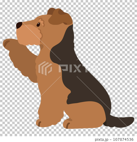 お手をするワイアー・フォックス・テリアのイラスト 主線なし お手をするワイアー・フォックス・テリアのイラスト 主線なし 107874536