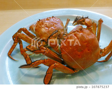 脂がのったカニは最高に美味、上海蟹と同族のモクズガニの塩茹での写真 脂がのったカニは最高に美味、上海蟹と同族のモクズガニの塩茹での写真 107875237