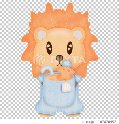 Winter Winter 107876457