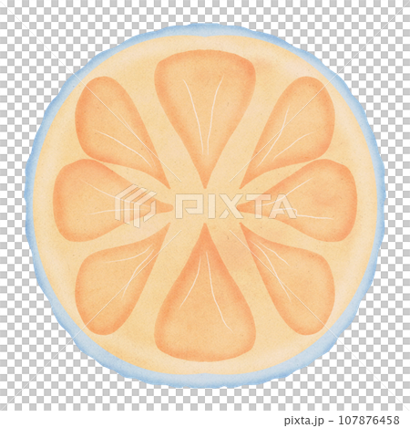 Winter Winter 107876458