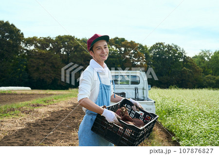 さつま芋の収穫をする男性 107876827