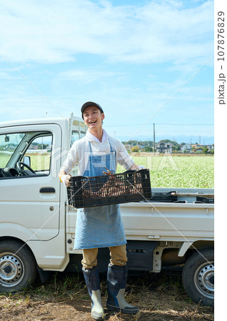 さつま芋の収穫をする男性 107876829