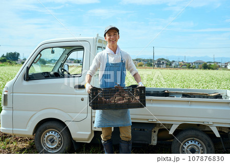 さつま芋の収穫をする男性 107876830