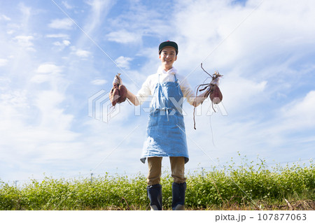 さつまいもを収穫する若い男性 107877063