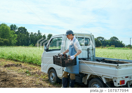 農作物を軽トラの荷台に積み込む男性 農作物を軽トラの荷台に積み込む男性 107877094