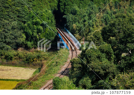 森のトンネルと鉄橋(久大本線 大分県玖珠郡九重町) 森のトンネルと鉄橋(久大本線 大分県玖珠郡九重町) 107877159