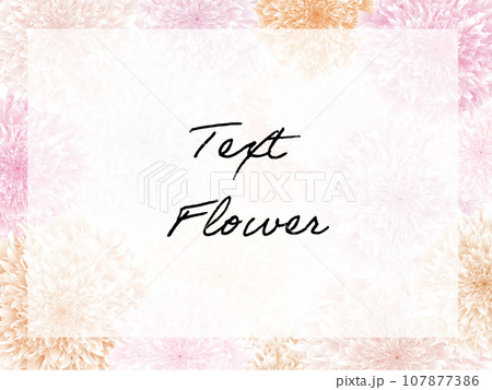 芍薬花束背景フレーム素材ピンク暖色 芍薬花束背景フレーム素材ピンク暖色 107877386